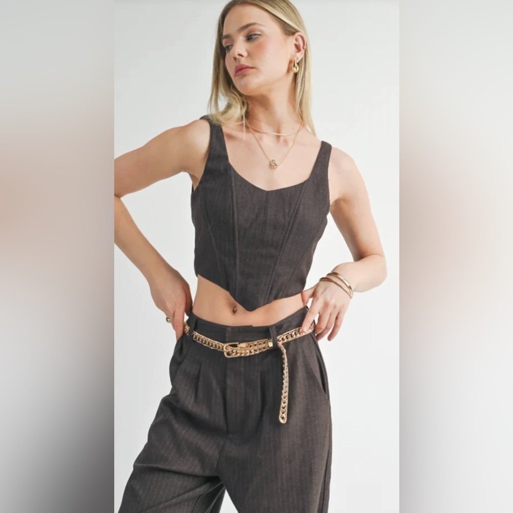 SAGE Pinstripe Brown Zip Closure Corset Size Large NWT